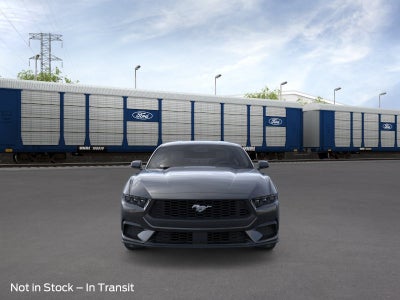 2026 Ford Mustang EcoBoost Transit