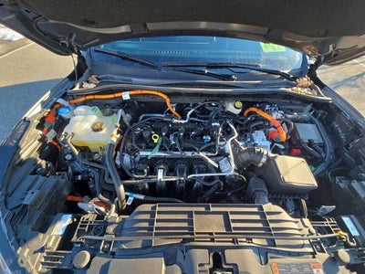 2025 Ford Escape Hybrid ST-Line Select